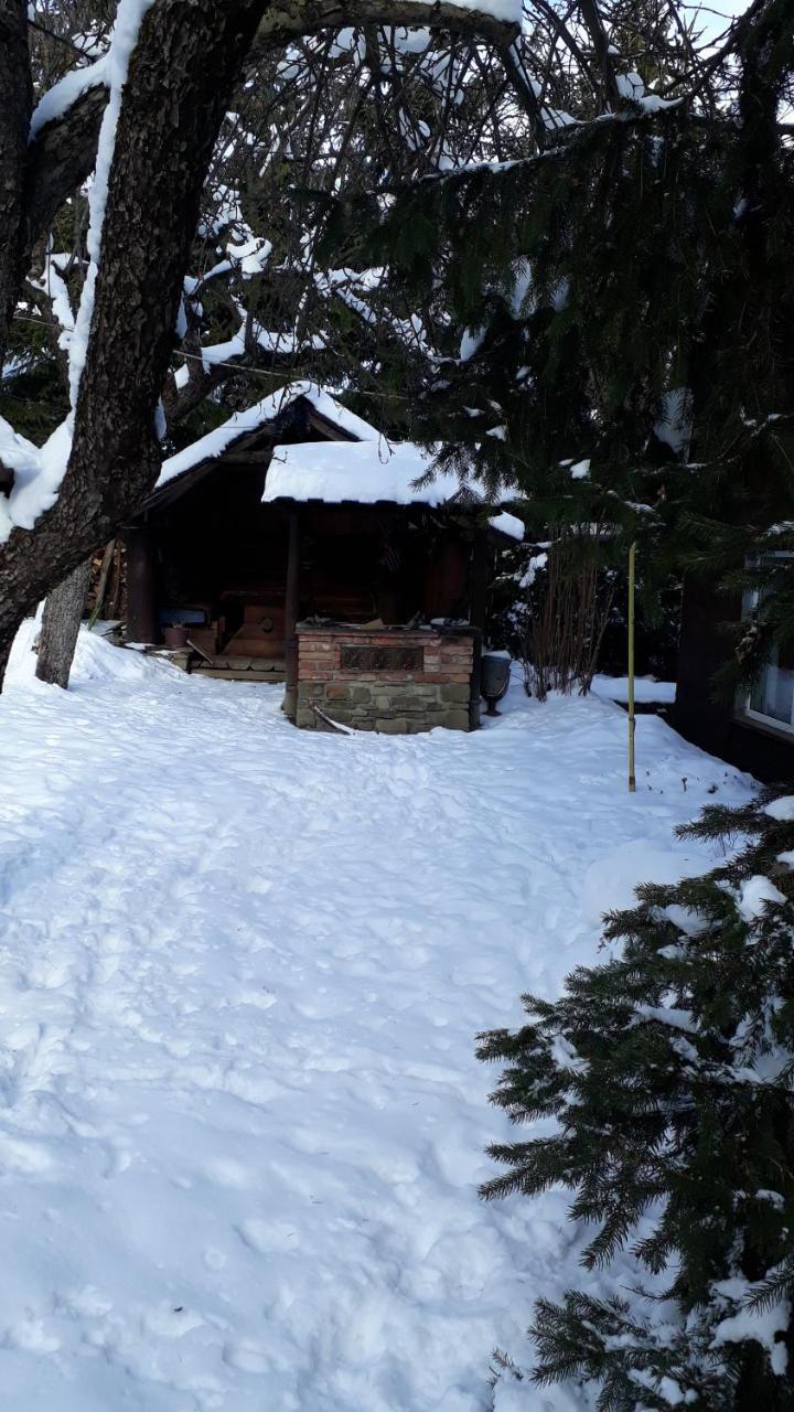 Садиба "У Чубчика" Hotel Jaremcse Kültér fotó